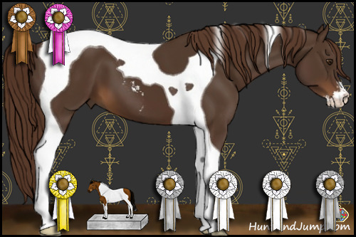 Horse Color:Liver Chestnut Sabino Tobiano 