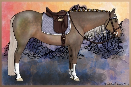 Horse Color:Silver Black 