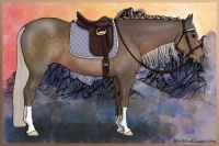 Horse Color:Silver Black 