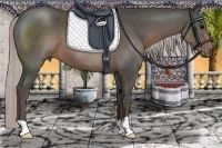 Horse Color:Silver Black 