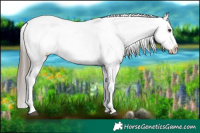 Horse Color:Liver Chestnut Tobiano Snowflake Varnish