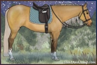 Horse Color:Silver Bay Dun Sabino 