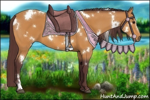 Horse Color:White Spotted Chocolate Buckskin 