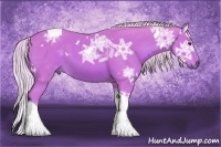 Horse Color:Watercolor White Spotted Silver Bay Ice Tobiano