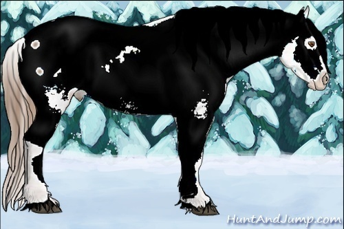 Horse Color:Brown Ice Pearl Snowcap