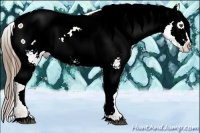 Horse Color:Bay Ice Pearl Appaloosa 
