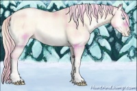 Horse Color:Plaid  Gold Cream Champagne Pearl Onyx 