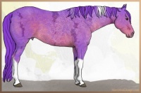 Horse Color:Watercolor Liver Chestnut Ice Tobiano 