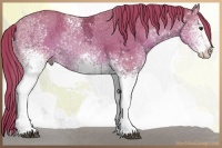 Horse Color:Watercolor White Spotted Liver Chestnut Ice Sabino 