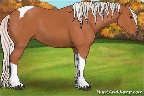 Horse Color:Silver Bay Tobiano