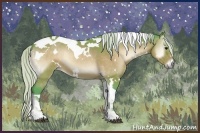 Horse Color:Watercolor White Spotted Silver Buckskin Onyx Tobiano