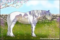 Horse Color:Watercolor White Spotted Silver Brown Tobiano