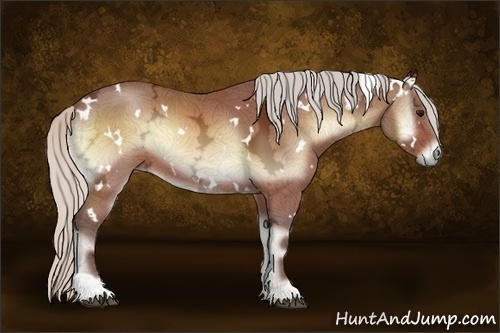 Horse Color:White Spotted Silver Bay Ice Onyx