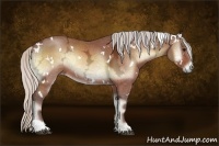 Horse Color:White Spotted Silver Bay Ice Onyx 