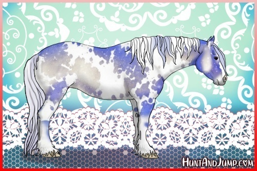 Horse Color:Watercolor White Spotted Silver Bay Onyx Rabicano