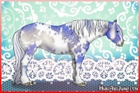 Horse Color:Watercolor White Spotted Silver Bay Onyx Rabicano