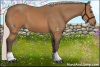 Horse Color:Silver Brown 