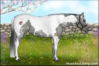 Horse Color:Black Ice Tobiano 