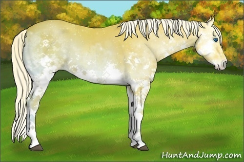 Horse Color:Watercolor Liver Red Onyx Ice Splash