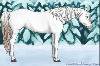 Horse Color:White Spotted Liver Chestnut Pearl Appaloosa 