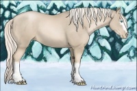 Horse Color:White Spotted Chocolate Palomino Pearl 