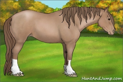 Horse Color:Blue Roan Pearl 