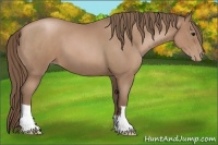 Horse Color:Blue Roan Pearl 