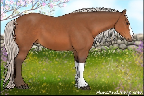 Horse Color:Silver Bay 