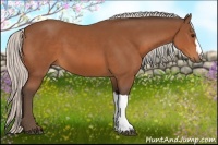 Horse Color:Silver Bay 