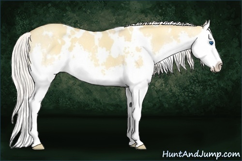 Horse Color:White Spotted Silver Classic Champagne Dun Splash