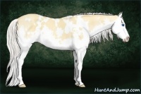Horse Color:White Spotted Silver Classic Champagne Dun Splash 