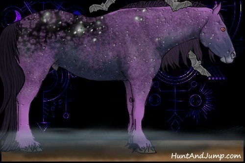 Horse Color:ERROR: UNKNOWN ANOMALY