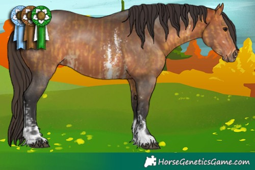 Horse Color:Buckskin Sabino  and Bay Sabino 