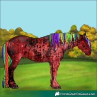 Horse Color:ERROR: UNKNOWN ANOMALY and ERROR: UNKNOWN ANOMALY