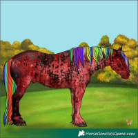Horse Color:ERROR: UNKNOWN ANOMALY and ERROR: UNKNOWN ANOMALY