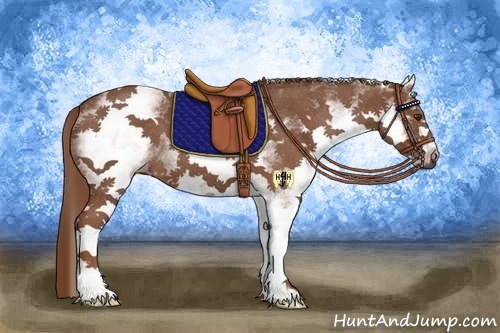 Horse Color:White Spotted Red Roan 