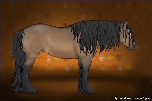 Horse Color:Bay Dun Sabino 