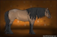 Horse Color:Bay Dun Sabino 