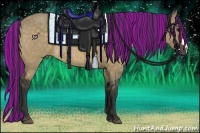 Horse Color:Painted Bay Dun Rabicano
