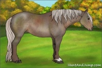 Horse Color:Silver Black Rabicano 