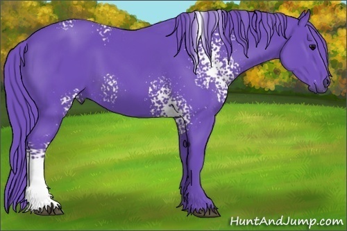 Horse Color:Watercolor White Spotted Black 