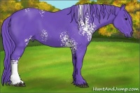 Horse Color:Watercolor White Spotted Black 