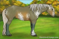 Horse Color:Watercolor White Spotted Silver Brown