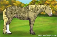 Horse Color:Watercolor Liver Chestnut Ice 