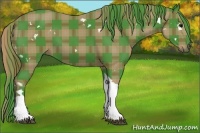 Horse Color:Watercolor Plaid White Spotted Black Tobiano