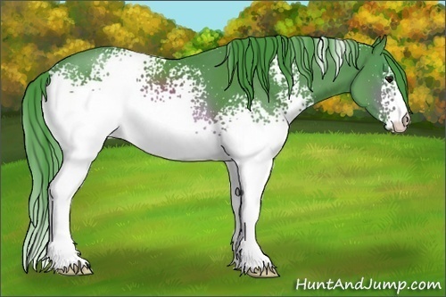 Horse Color:Watercolor White Spotted Brown