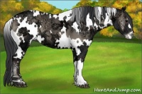 Horse Color:White Spotted Blue Onyx Ice
