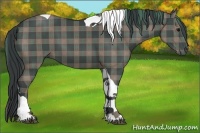 Horse Color:Plaid Black Tobiano