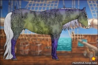 Horse Color:Watercolor Silver Bay Ice Splash