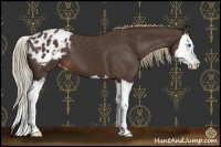 Horse Color:Liver Chestnut Sabino Splash Varnish